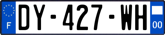 DY-427-WH