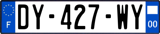 DY-427-WY