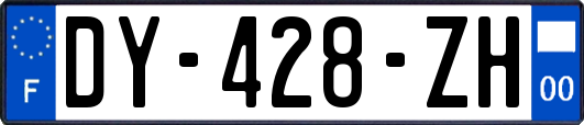 DY-428-ZH