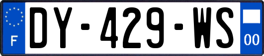 DY-429-WS