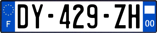 DY-429-ZH