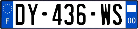 DY-436-WS