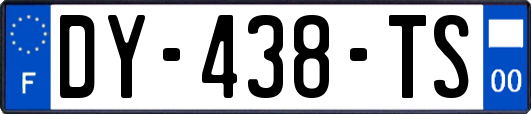 DY-438-TS