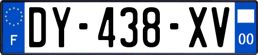 DY-438-XV