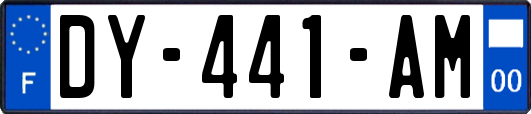 DY-441-AM