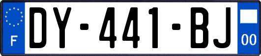 DY-441-BJ