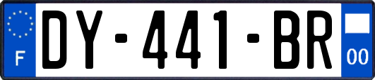 DY-441-BR