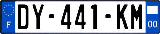 DY-441-KM