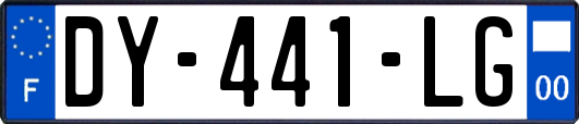 DY-441-LG