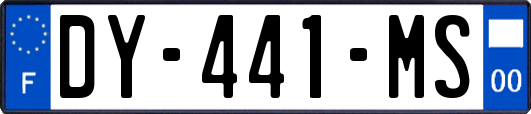 DY-441-MS
