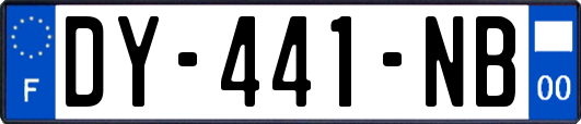 DY-441-NB