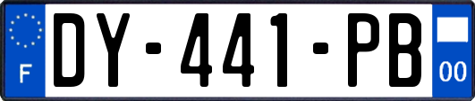 DY-441-PB