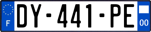 DY-441-PE