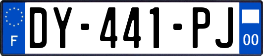DY-441-PJ
