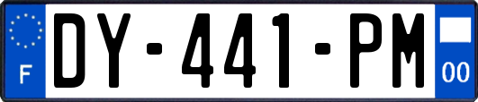 DY-441-PM
