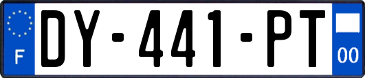 DY-441-PT