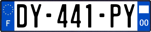 DY-441-PY