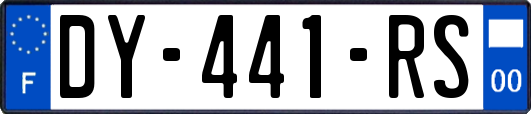 DY-441-RS