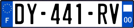 DY-441-RV