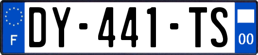 DY-441-TS