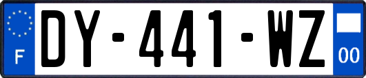 DY-441-WZ