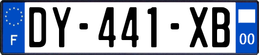 DY-441-XB