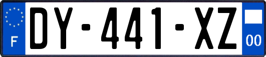 DY-441-XZ