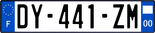 DY-441-ZM