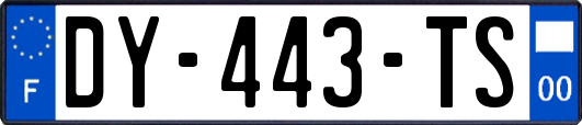 DY-443-TS