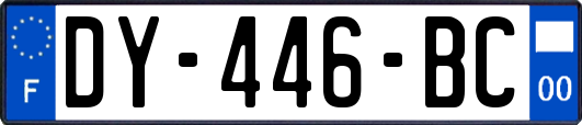DY-446-BC