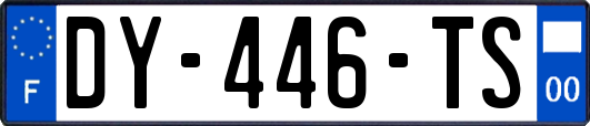 DY-446-TS