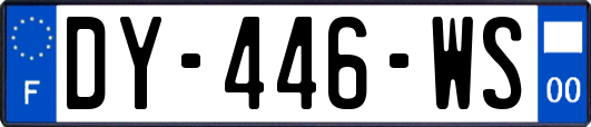 DY-446-WS