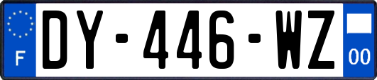 DY-446-WZ