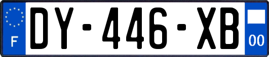 DY-446-XB