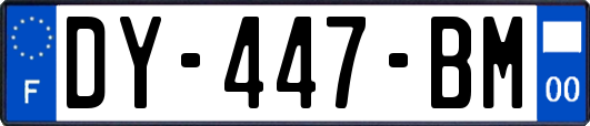 DY-447-BM