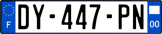 DY-447-PN