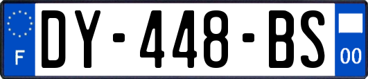 DY-448-BS