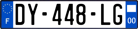 DY-448-LG