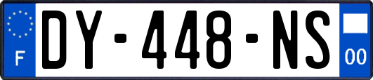 DY-448-NS