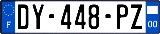 DY-448-PZ