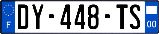 DY-448-TS