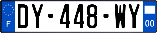 DY-448-WY