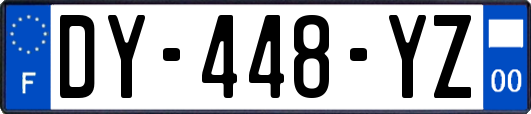 DY-448-YZ