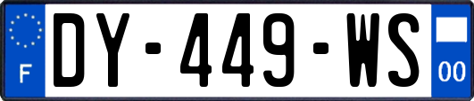 DY-449-WS