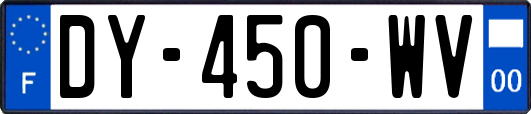 DY-450-WV