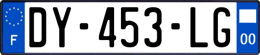 DY-453-LG