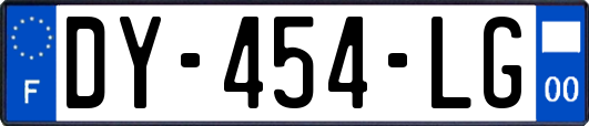 DY-454-LG