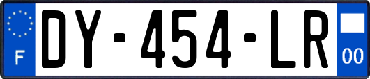 DY-454-LR