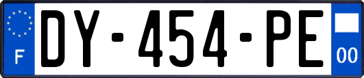 DY-454-PE
