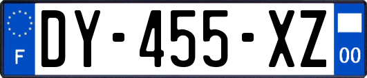 DY-455-XZ